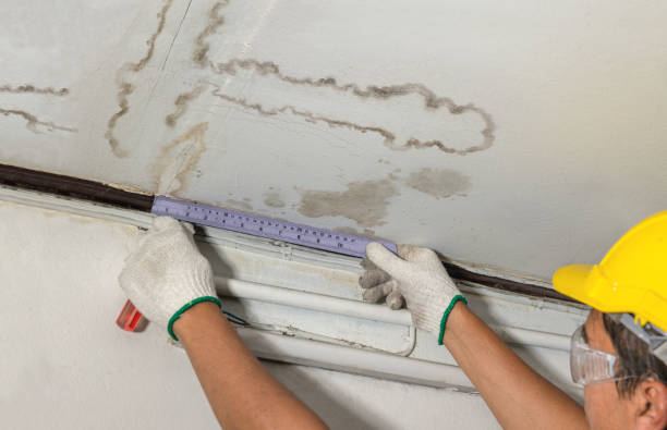 Reliable Burst Pipe Cleanup contractor in Walsh, IL by Water Damage Irwin